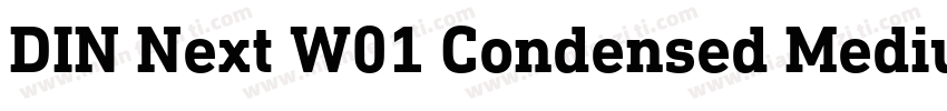 DIN Next W01 Condensed Medium字体转换